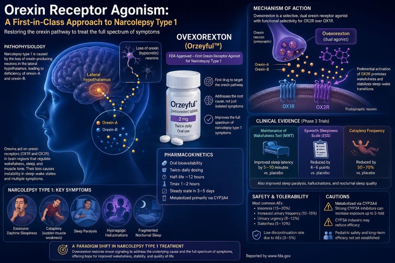 Orexin Receptor Agonism: A First-in-Class Approach to Narcolepsy Type 1